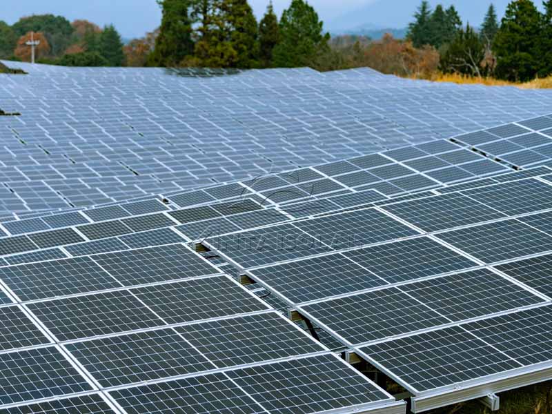 ¿Por qué hazamos Elige energía solar ? 